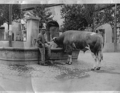 Grossvater Althun am alten Brunnen, damals Eckerlinbrunnen, später Ochsenbrunnen