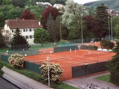 alter Tennisplatz am Schlössle
Plattner_032