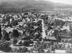 Wyhlen um 1920; Blick von Norden Richtung Rhein
Kuechlin_130_50