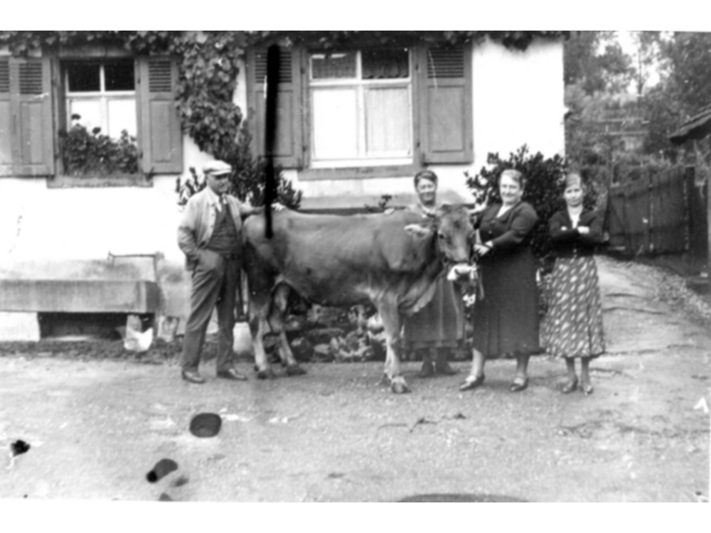 Familie Lauber aus der Bergstrasse mit neuer Kuh
Ohlhaut_002