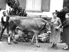 Tante Marie, Onkel Willi Lauber, Tante Klara aus Krefeld; um 1950
Ohlhaut_003
